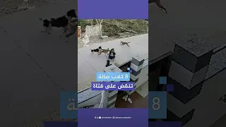 8 كلاب ضالة تهاجم فتاة في الهند شاهد ما حدث  8 كلاب ضالة تهاجم فتاة في الهند شاهد ما حدث