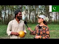 Pakistan Islamabad how many languages do you speak