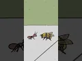 Download Lagu Ant Vs. Bee