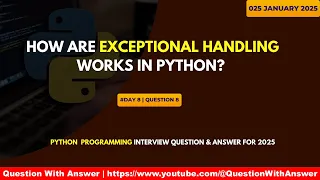 How are exceptional handling works in python day 8