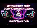 Download Lagu DJ JINGIJING GIJING SOUND TIKTOK VIRAL DONNY FERNANDA FULL BASS