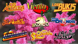 GRUPERAS 90S DEL RECUERDO - BRONCO, TEMERARIOS, BUKIS, ACOSTA, BRYNDIS, CAMINANTES, YONICS Y MAS
