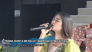 Download TRISNA SINTHA BR KELIAT - NGERANA ATEKU KITA#Gendang Mburo Ate Tedeh #Sei Bingai Se-Jabodetabek 2022 MP3