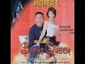 Stupid Love Performed by Salbakutah - Andrew E