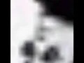 Download Lagu Axel Schlimper - Wir Rufen Deine Wölfe