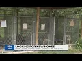 Local humane society looking for community help adopting animals they took in from hurricane areas