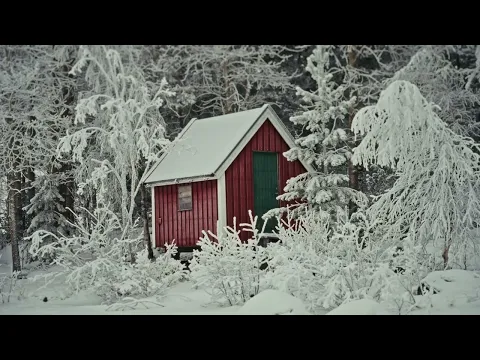 Swedish Lapland Documentary — Winter 2026