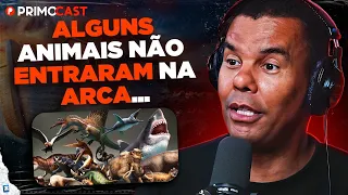 CURIOSIDADES SOBRE A ARCA DE NOÉ (Por Rodrigo Silva) | PrimoCast 325