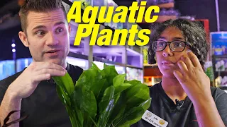 HER Knowledge IS CRAZY A Plant Lover s Unboxing