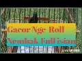 Download Lagu Konin Gacor Nembak Full Isian // Hitungan Detik Pasti Konin Nyaut.