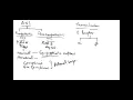 Cology CVS 7
