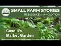 Caselli s Market Garden Small Farm Stories Resilience and Innovation