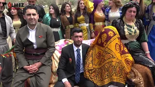 Zeydan Kesire Şahane Düğünü Şiyar Berwari 