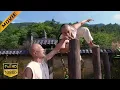 Download Lagu [Movie] The kung fu master discovered that the young monk was a natural martial arts wizard!