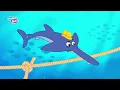 Animais no Mundo Bita #videoinfantil