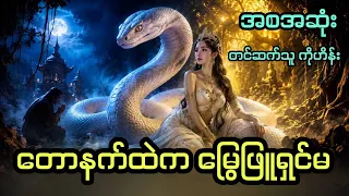 တောနက်ထဲက မြွေဖြူရှင်မ ( အစအဆုံး) 