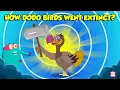 The Mysterious Extinction Of Dodo Birds Story of Dodo Birds Extinct Birds The Dr Binocs Show