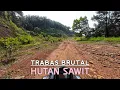 Download Lagu Perjalanan Menuju Bukit Tertinggi Di Tengah Hutan Sawit | Bukit Nyomot Subang