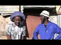 Download Lagu Veeplaas Comedy/ Bhakabhaka No Khosi/Dlangisa/Mpehle