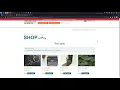 Client-side prototype pollution in third-party libraries