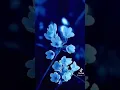 Download Lagu #blue💎world#.               PLEASE SUBSCRIBE AND HIT THE NOTIFICATION BELL