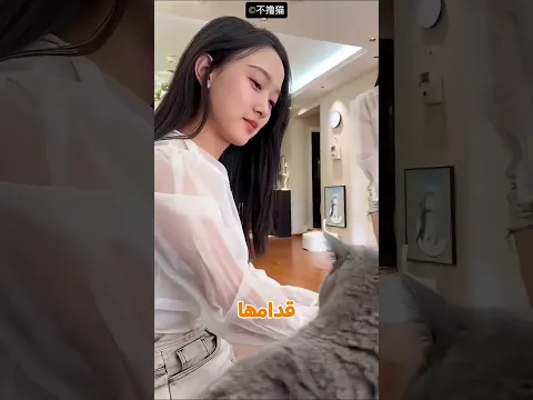 القطة شافت التوأم الاتنين فحصلها أغرب لخبطة! 😂🐱