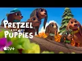 Video di Pretzel e i suoi cuccioli | Stagione 2 | Trailer
