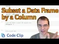 How to Subset a Data Frame by a Column in R