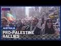 Download Lagu Mass Pro Palestinian Rallies Across the Country Protest Gaza Famine | 10 News+
