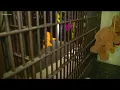 Real frights Williamson County haunted jail opens Friday Oct 12