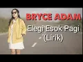 Lagu BRYCE ADAM - ELEGI ESOK PAGI (EBIET G ADE) COVER LIRIK