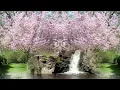 ASMR Relaxation Softly Piano Music / With C Star ASMR  Whispers