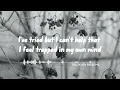 Zevia - Till Death Frees Me (Lyrics)