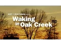 Waking in Oak Creek
