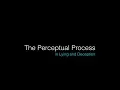 The Perceptual Process