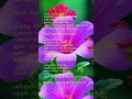 Download Lagu செவியோடு தான்காதல் சொல்வாய் என்பேனே #music #song #love #tamilsong #melody #90ssong #songlyrics