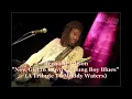 ■ Bernard Allison 1985 - "New Girl in Town" "Young Boy Blues" (A Tribute To Muddy Waters)