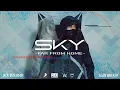 Jack Benjamin, Alan Walker \u0026 Alex Skrindo - Far From Home (Sky)