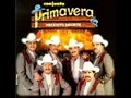 perdoname mi amor conjunto primavera