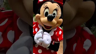 o Minnie Mouse have FUN - Frontierland