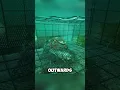 Download Lagu How Crab Trap Works Underwater! (📷:fishhunterkh)