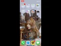 Update Siri (시리) 앱 제안 삭제방법