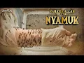 Download Lagu Kalau Memang Gak Ada Gunanya, Kenapa Allah Menciptakan Nyamuk ??