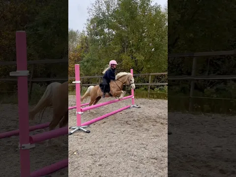 NEW PONY😱😍 #shorts #horse #fyp