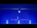 BTS – Intro: NEVER MIND Indo sub @ LIVE(花様年華 on stage)~at YOKOHAMA ARENA
