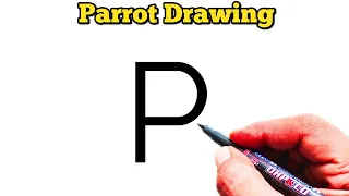 How to Draw Parrot From letter P Easy Parrot Bird Drawing Letter Drawing