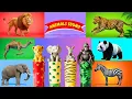Download Lagu Safari dierengeluiden liedje | Kinderliedje voor kinderen - Leer dierennamen en geluiden