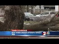 Many homes damaged by Troy tornado