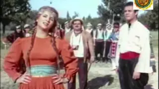                                       دندنها