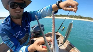 Fish fish fish!! Episode 23